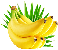 Саженцы банана