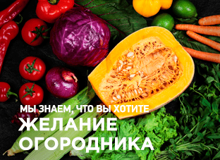 Магазин Саженцев Agromarket24 Ru
