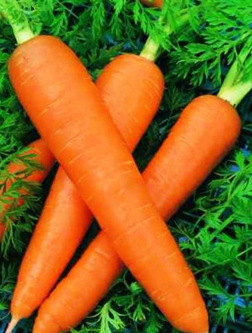 Морковь "Роте - Ризен" 2г ТМ Гавриш фото-0