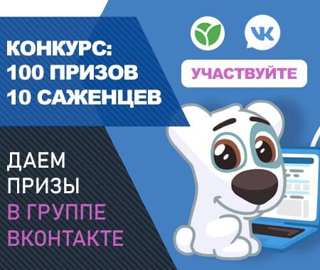 Конкурс: дарим подарки ВКонтакте