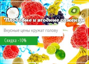 Плодовые и ягодные саженцы по вкусной цене со скидкой -10%