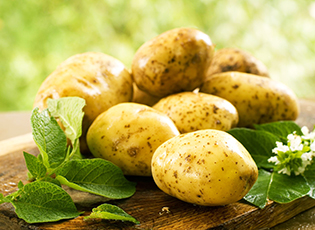 Картофель: советы для успешного урожая