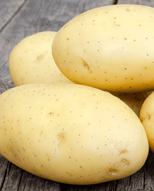 Семенной картофель Гранада 1кг купить в интернет-магазине Агро-Маркет24