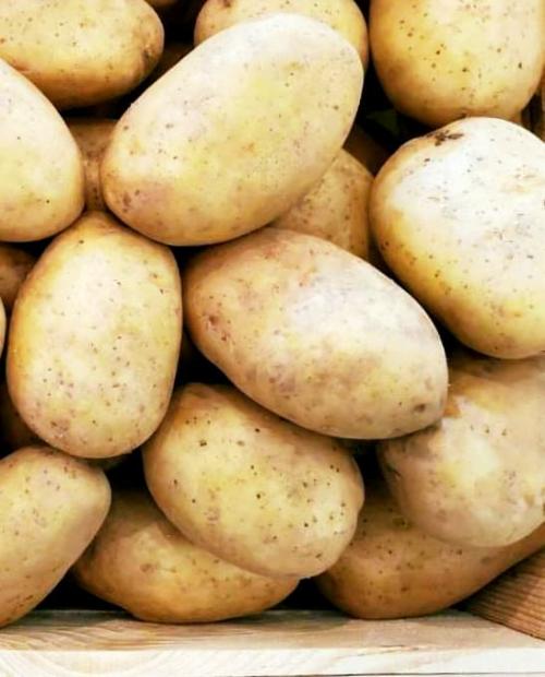 Семенной картофель "Аризона" 1 кг фото-3