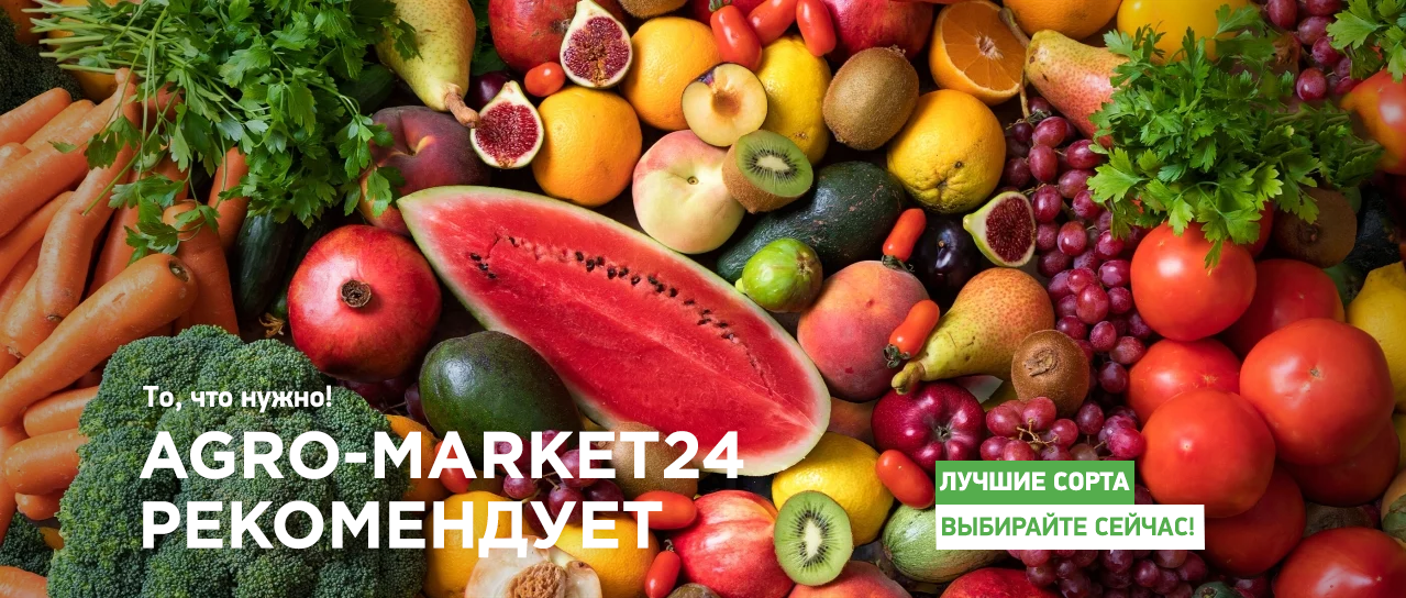 Agro-market24 рекомендует!