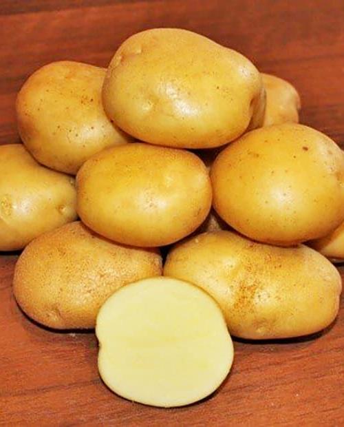 Семенной картофель "Метеор" 1 кг фото-0