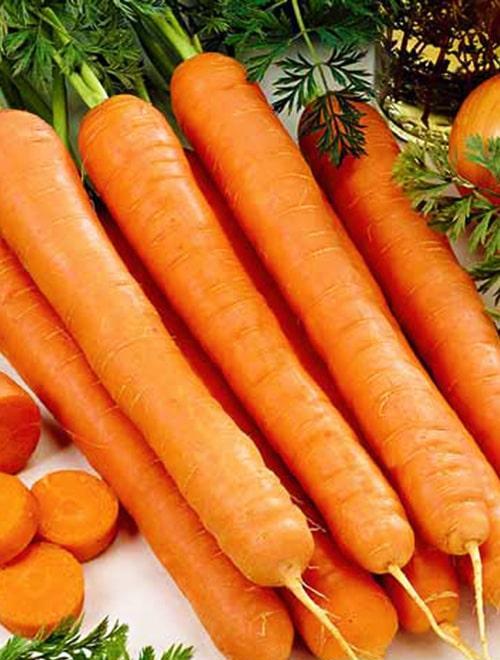 Морковь "Гигант Росса" 1г фото-