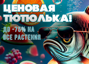 Ценовая тютюлька! До -75% на все растения.