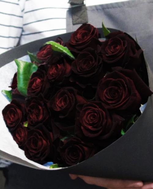 Роза чайно-гибридная Блэк Мэджик черно-красная (саженец класса АА+) высший сорт фото-3