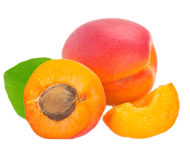 Cаженцы абрикоса