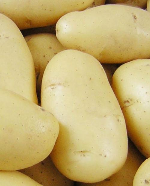 Семенной картофель "Гранада" 1кг фото-1