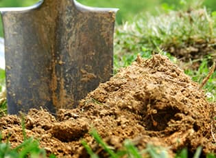 Как сделать песчаную почву плодородной?