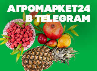 Агромаркет24 в Telegram!