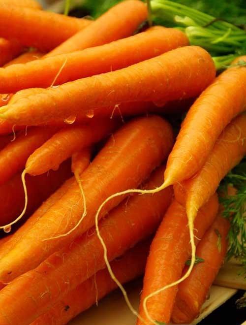 Морковь "Витаминная 6" 2г ТМ Гавриш фото-0