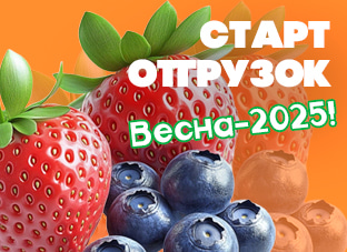 Старт отгрузок Весна-2025!