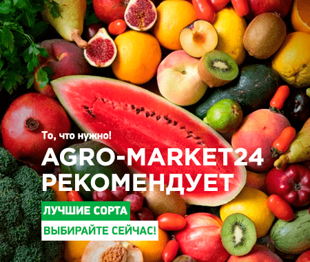 Agro-market24 рекомендует!