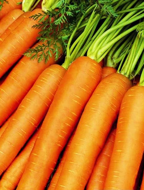 Морковь "Нантская" 2г ТМ Поиск фото-0