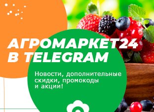 Агромаркет24 в Telegram!