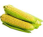 Семена кукурузы средней полосы