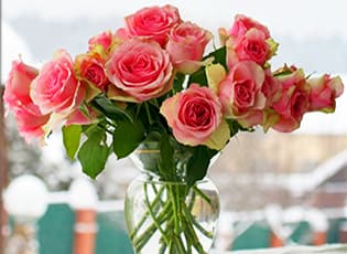 Уход за срезанными розами: как сохранить свежесть и красоту