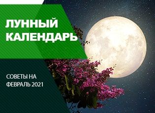 Лунный календарь на февраль 2021