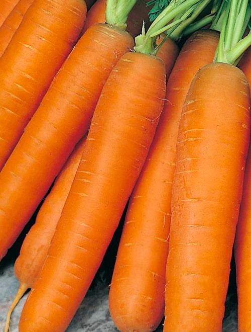 Морковь "Балтимор F1" 150шт ТМ Гавриш фото-