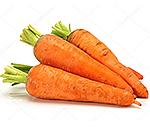 Морковь для Урала