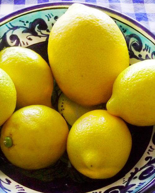 Лимон "Салават" (ремонтантный, устойчивый к заболеваниям сорт) фото-3