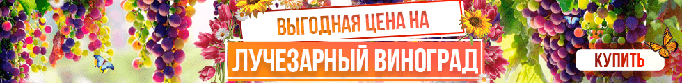 Программа малина персональная страница. ad14e14181883236fe208b77a55fb60b. Программа малина персональная страница фото. Программа малина персональная страница-ad14e14181883236fe208b77a55fb60b. картинка Программа малина персональная страница. картинка ad14e14181883236fe208b77a55fb60b. Некоторые банковские продукты уже стали настоящей легендой. И сегодня мы постараемся поговорить об одном монументальном проекте. Это проект по накоплению баллов и обмену их на деньги. Он носит название Малина. Некоторые говорят, что такой старожил прекратил существование. Но действует ли еще карта Малина или уже нет, не все знают. Так давайте разберём суть вопроса, чтобы докопаться до правды.