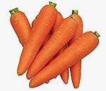Семена моркови для средней полосы