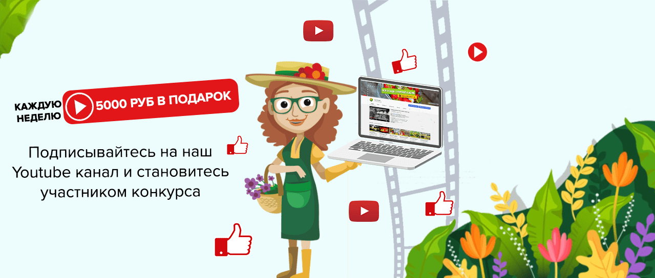 5000 рублей каждую неделю за подписку на наш YouTube канал
