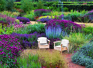 Сад в фиолетовых тонах