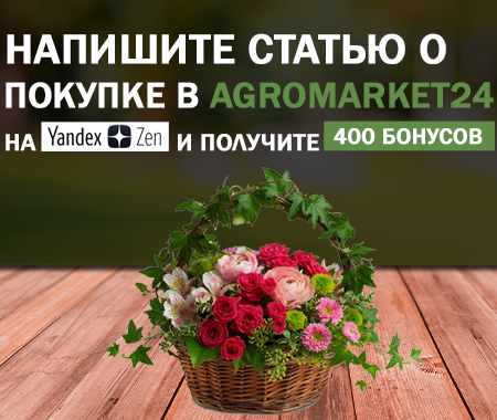 Акция! Получите 400 бонусных рублей за статью на Yandex Zen
