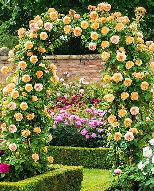 Садовые арки для роз купить по недорогой цене на hb-crm.ru