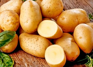 Выбор подходящего сорта картофеля