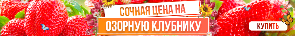 Посадочный материал малина смородина. cbc81b5648eaae62fe23e900ce6af4b9. Посадочный материал малина смородина фото. Посадочный материал малина смородина-cbc81b5648eaae62fe23e900ce6af4b9. картинка Посадочный материал малина смородина. картинка cbc81b5648eaae62fe23e900ce6af4b9. Оплата при получении только проверенного товара