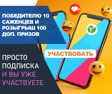 Конкурс: дарим подарки в Одноклассниках