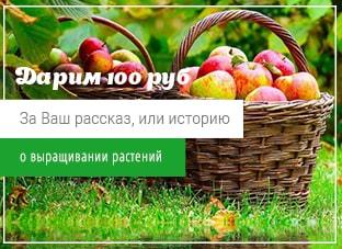 Получайте 100 рублей за рассказ о выращивании