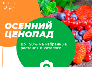 Осенний ценопад! До -50% на избранные растения.