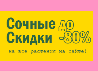 Сочные скидки до 80% на все растения!