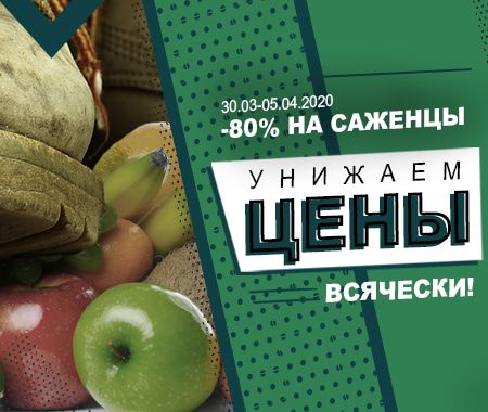 Унижаем цены всячески! -80% на саженцы Унижаем цены всячески! -80% на саженцы