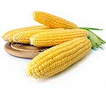 Семена кукурузы для подмосковья