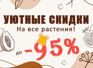 Уютные скидки до 95%!