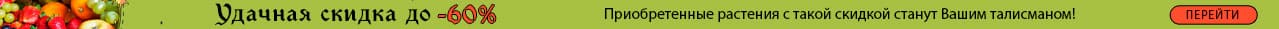 Сакральные скидки 60%