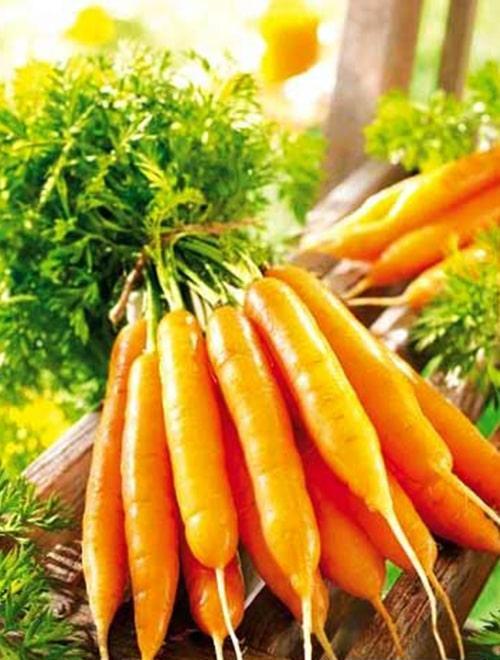 Морковь "Лакомка" 2г ТМ Аэлита фото-