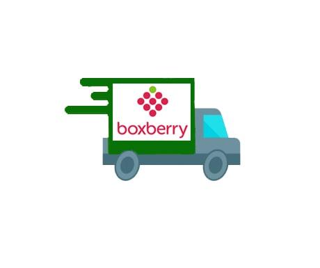 Boxberry 4-min.jpg