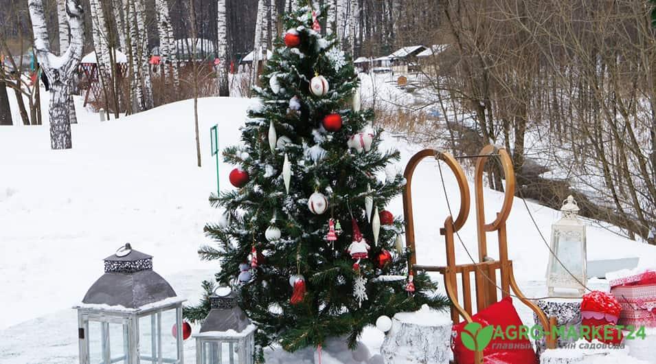 Главное украшение дачного дома к Новому году – елка