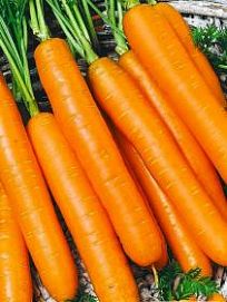 Морковь Самсон 0,5г ТМ Гавриш