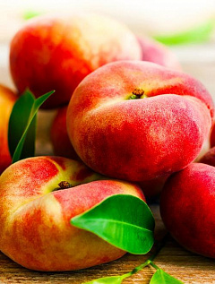 Эксклюзив! Персик желтый с вишневым румянцем "Крепыш" (Burly) (премиальный сорт, плоды достигают в весе до 100 грамм)7