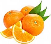 Саженцы апельсина